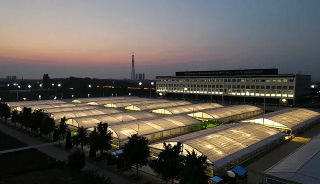 重视客户沟通:技术环节中的实际应用与问题处理